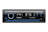 Blaupunkt BPA1124BT, Autoradio Multicolor con Dab+, RDS, Bluetooth, 2X USB